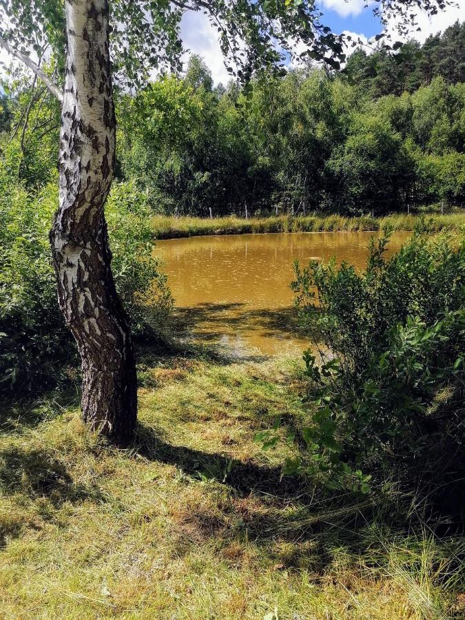 Вилла Brzozowa Polana Perlino Экстерьер фото